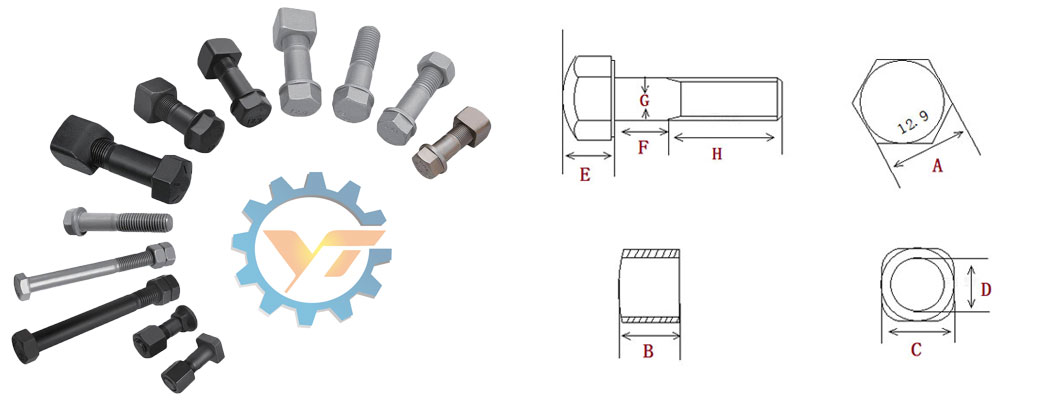 Bolt and Nut dimensions